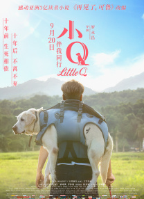 视频导航福利